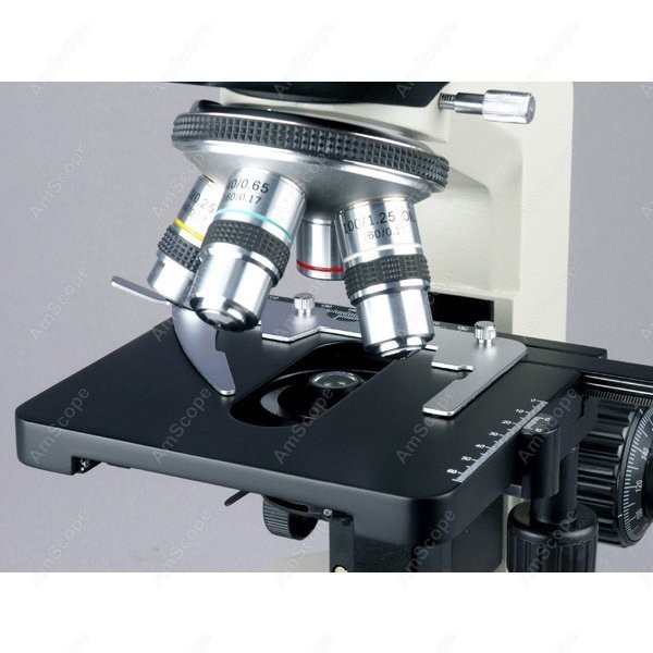 AmScope B490 Series Biological - Microscope Compound 40X reseña y precio