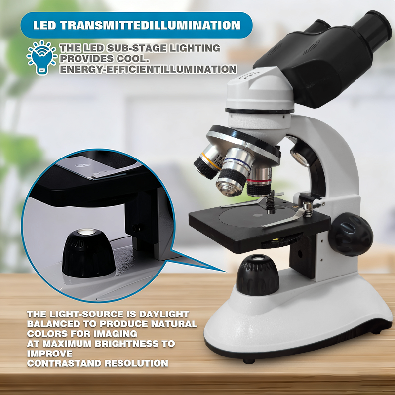 Binocular Compound Microscope  - Microscope Compound 40X reseña y precio