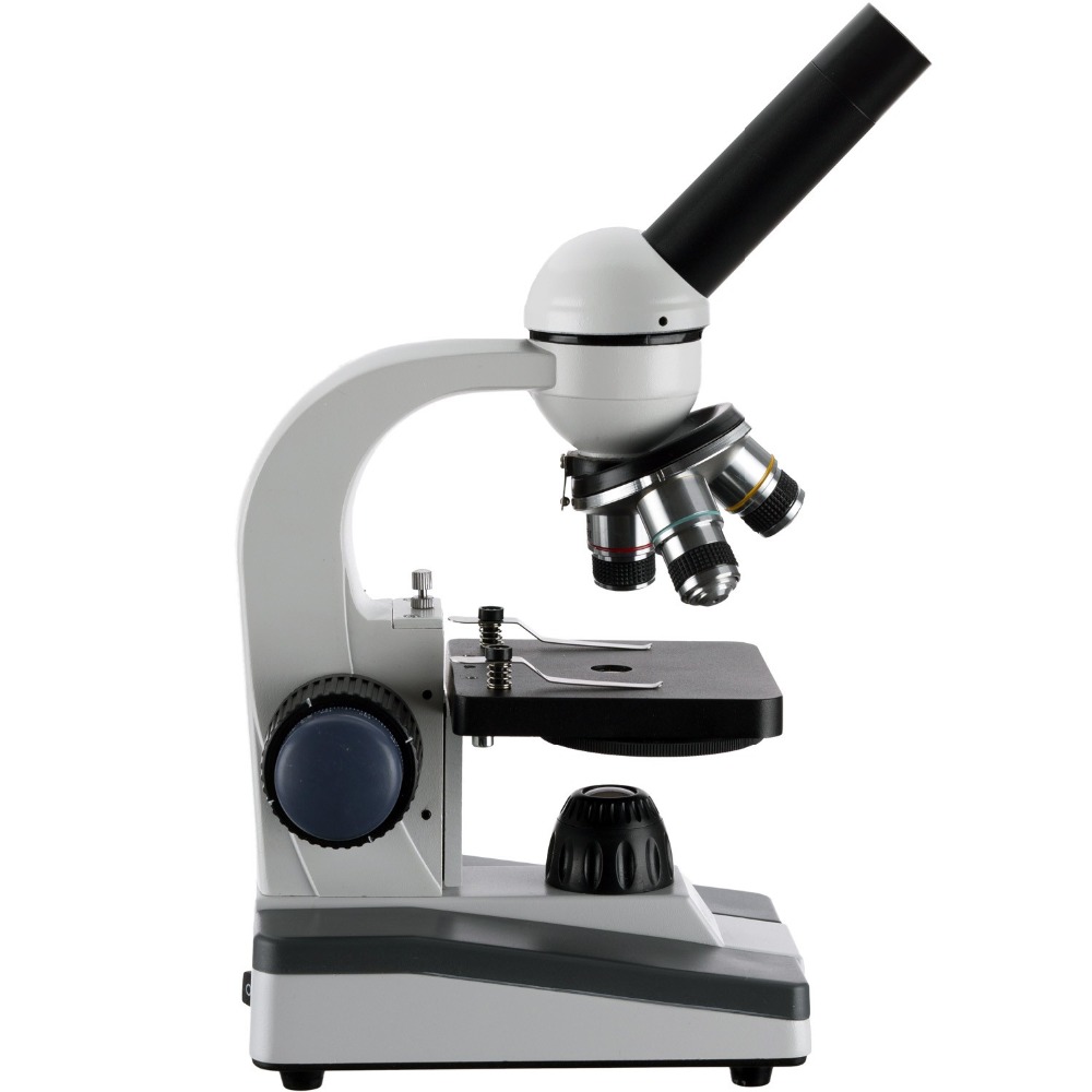 AmScope M150 Series Portable L - Microscope Compound 40X reseña y precio
