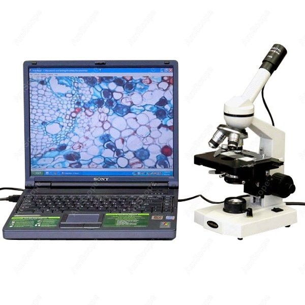 AmScope M600 Series Student Mo - Microscope Compound 40X reseña y precio