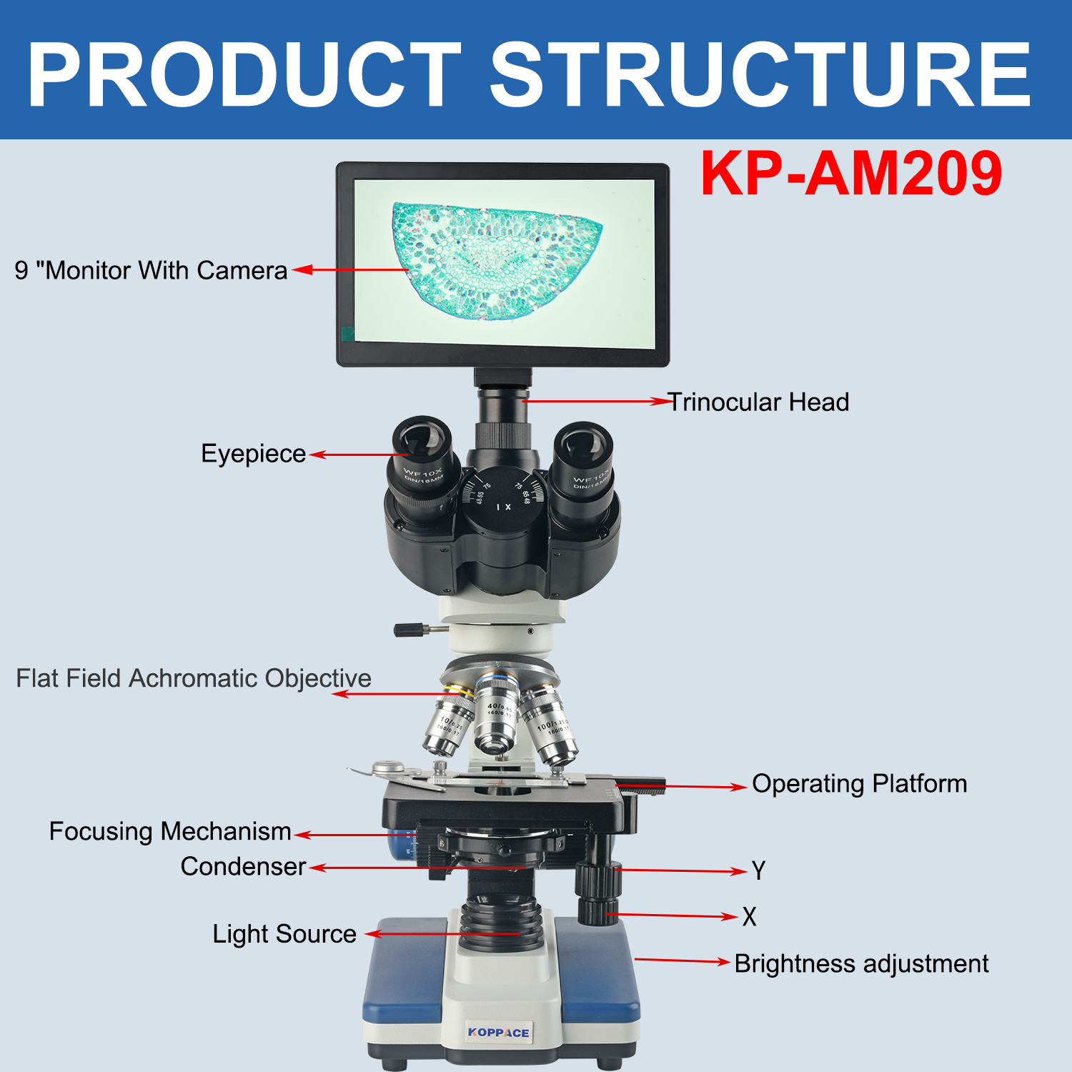 KOPPACE 40X-2500X Electron Com - Microscope Compound 40X reseña y precio