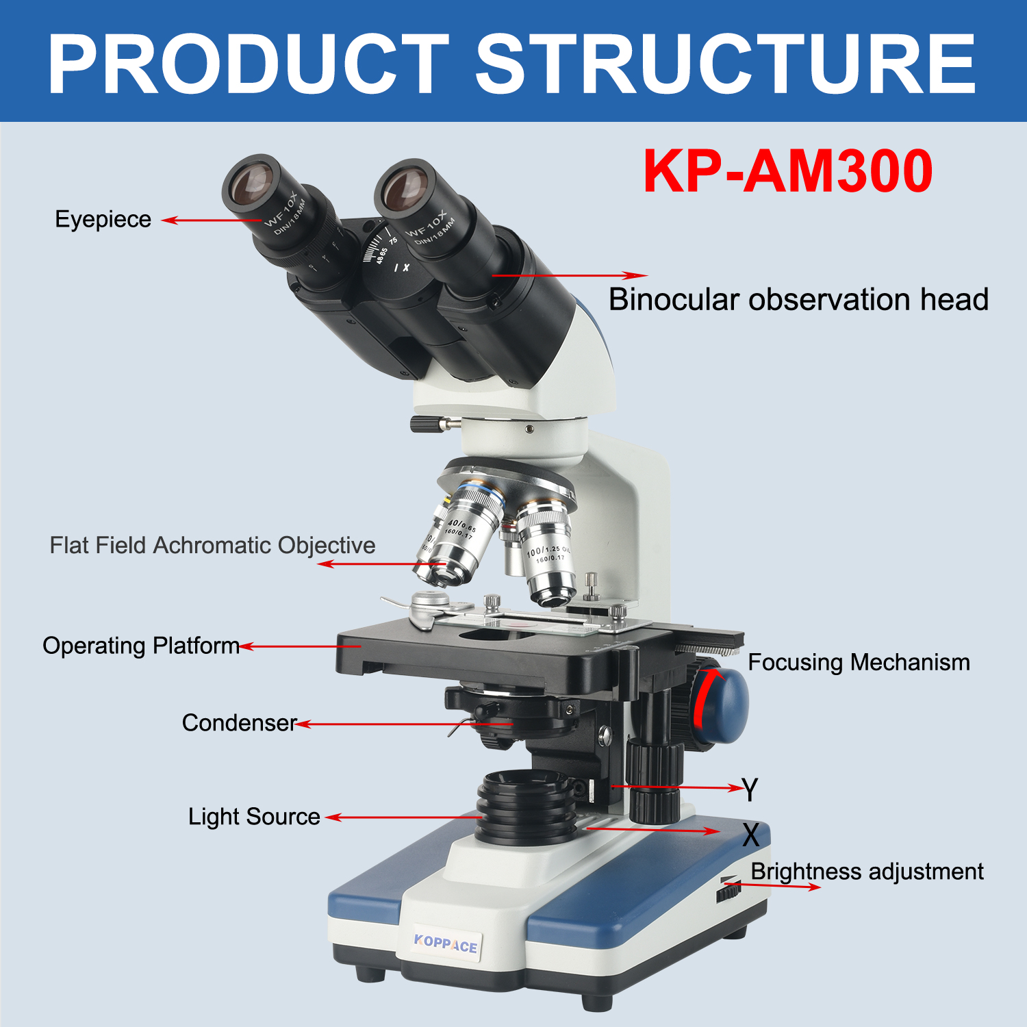 KOPPACE 40X-2500X Binocular Co - Microscope Compound 40X reseña y precio