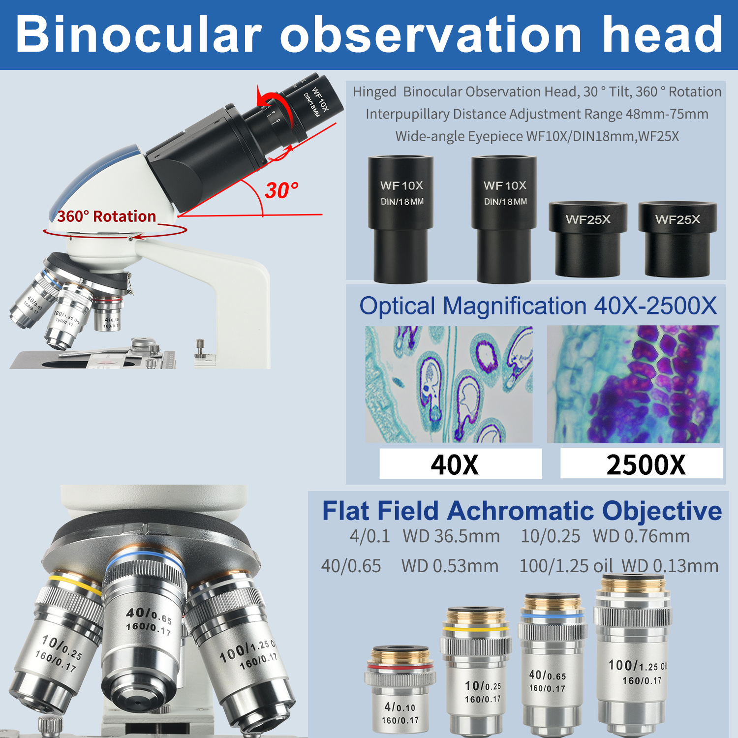 KOPPACE 40X-2500X Binocular Co - Microscope Compound 40X reseña y precio