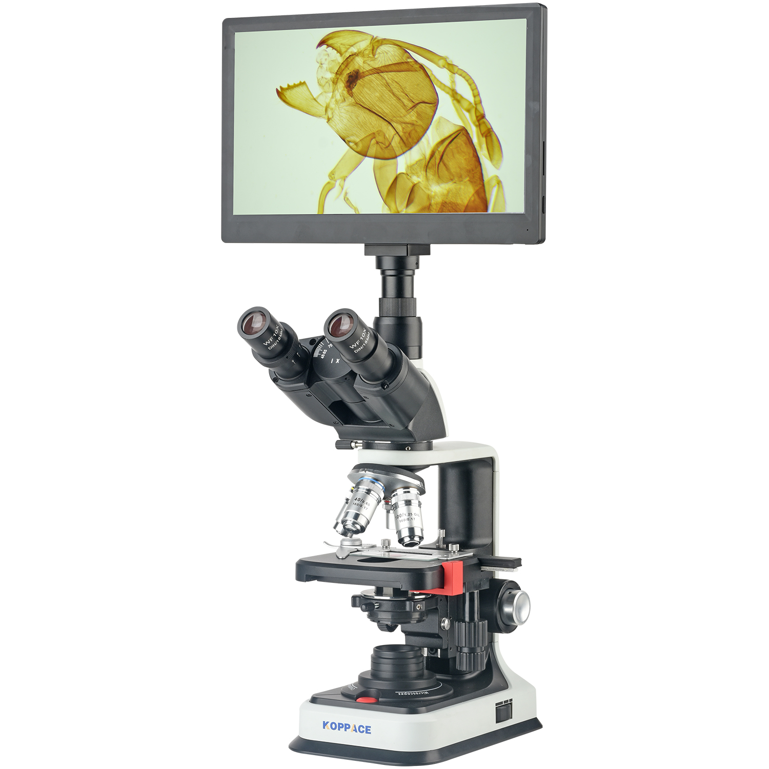KOPPACE 40X-2500X Electron Com - Microscope Compound 40X reseña y precio