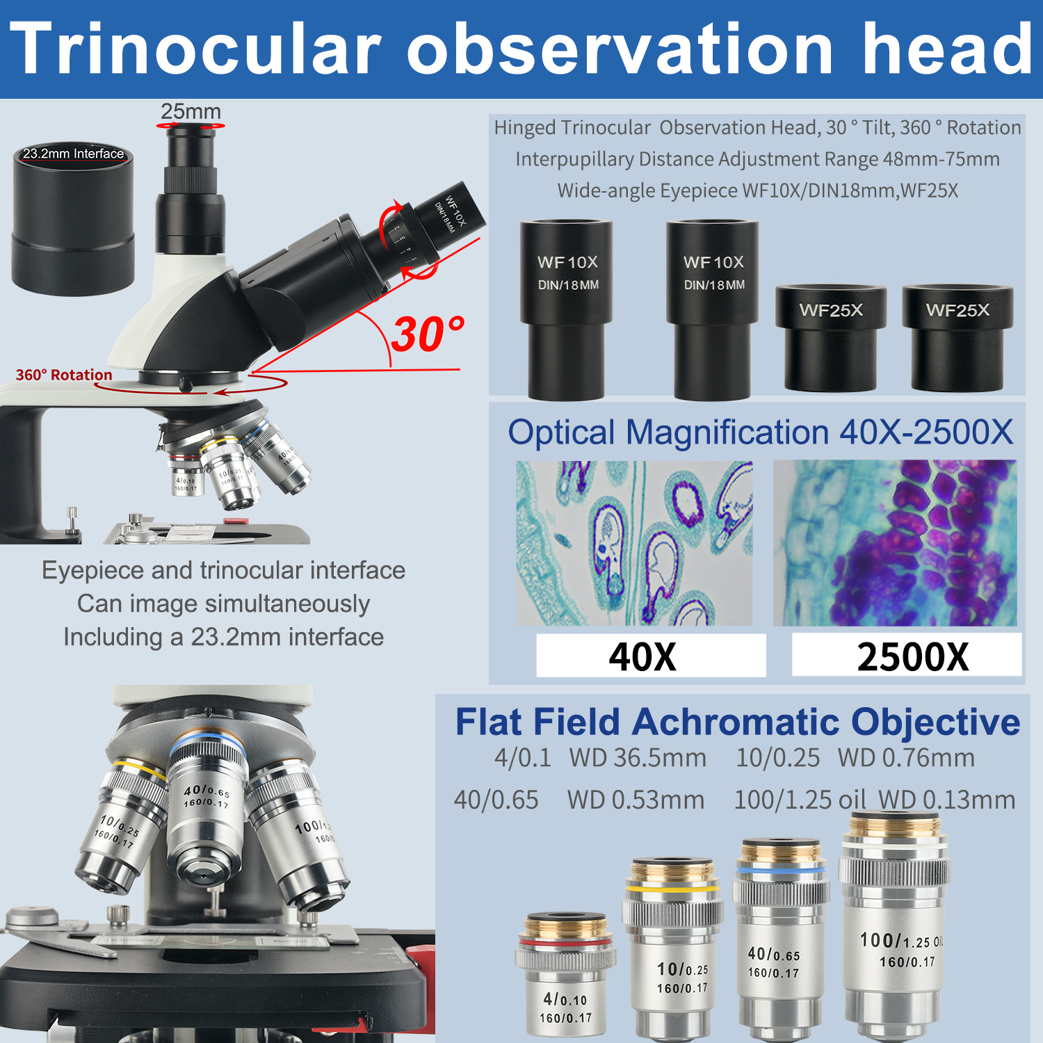 KOPPACE 40X-2500X Electron Com - Microscope Compound 40X reseña y precio
