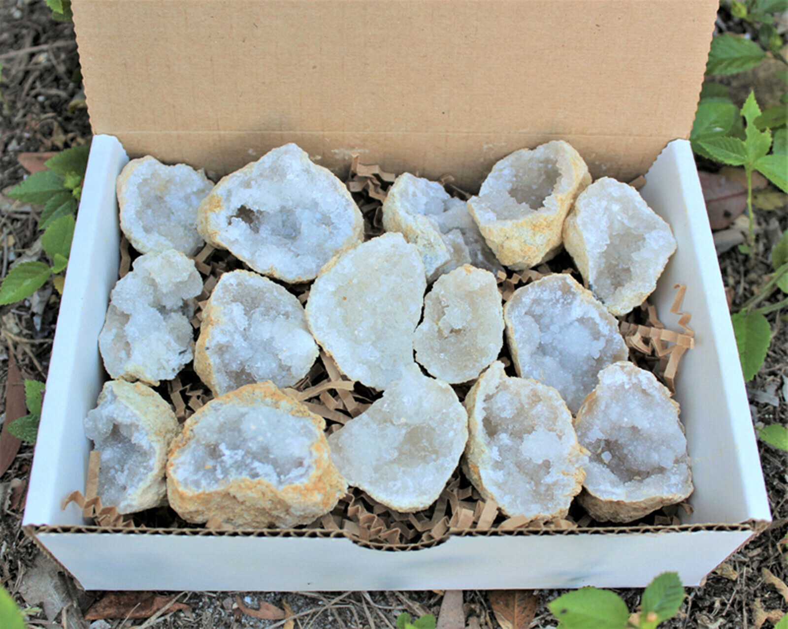 Large Unopened Moroccan Crysta - Geode Crystal Break reseña y precio