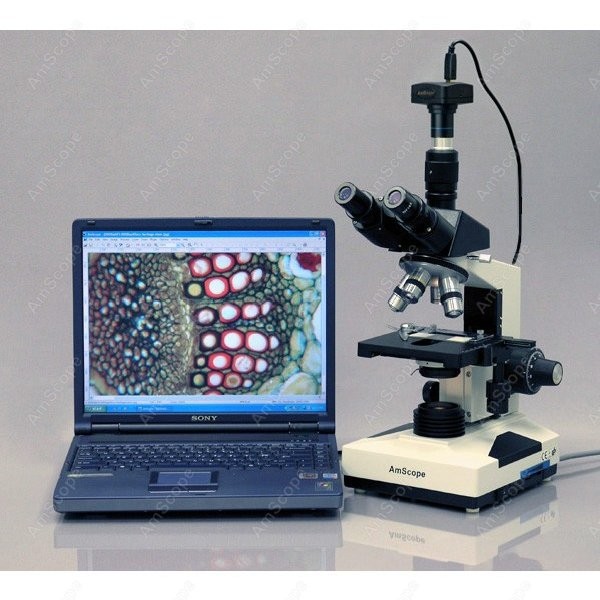 AmScope T490 Series Simul-Foca - Microscope Compound 40X reseña y precio