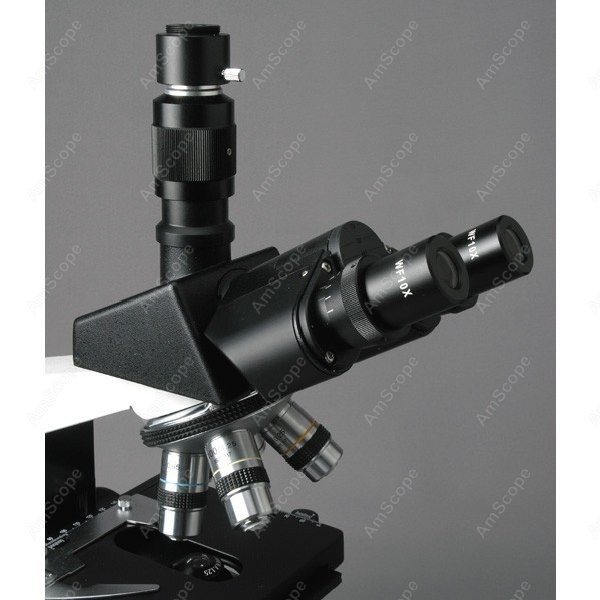 AmScope T490 Series Simul-Foca - Microscope Compound 40X reseña y precio