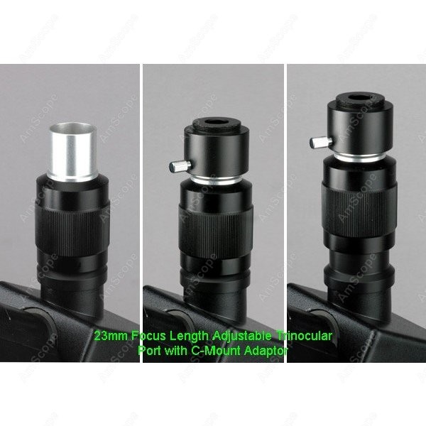 AmScope T490 Series Simul-Foca - Microscope Compound 40X reseña y precio