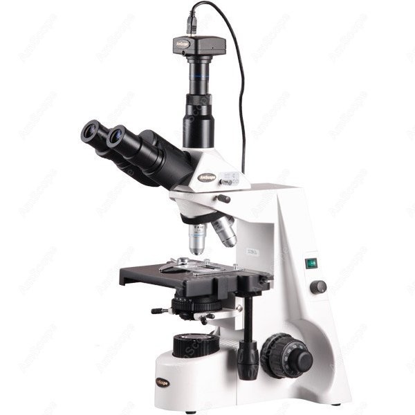 AmScope 40X-2500X Infinity Koh - Microscope Compound 40X reseña y precio