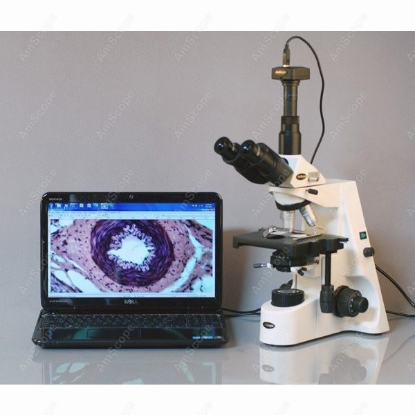 AmScope 40X-2500X Infinity Koh - Microscope Compound 40X reseña y precio