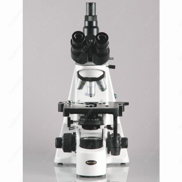AmScope 40X-2500X Infinity Koh - Microscope Compound 40X reseña y precio