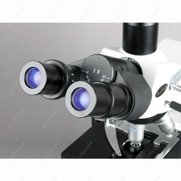 AmScope 40X-2500X Infinity Koh - Microscope Compound 40X reseña y precio