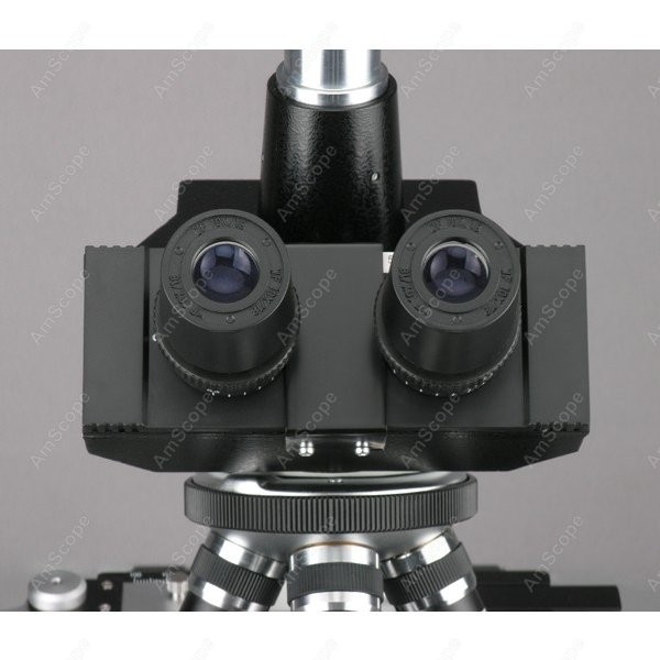 AmScope T390 Series Biological - Microscope Compound 40X reseña y precio