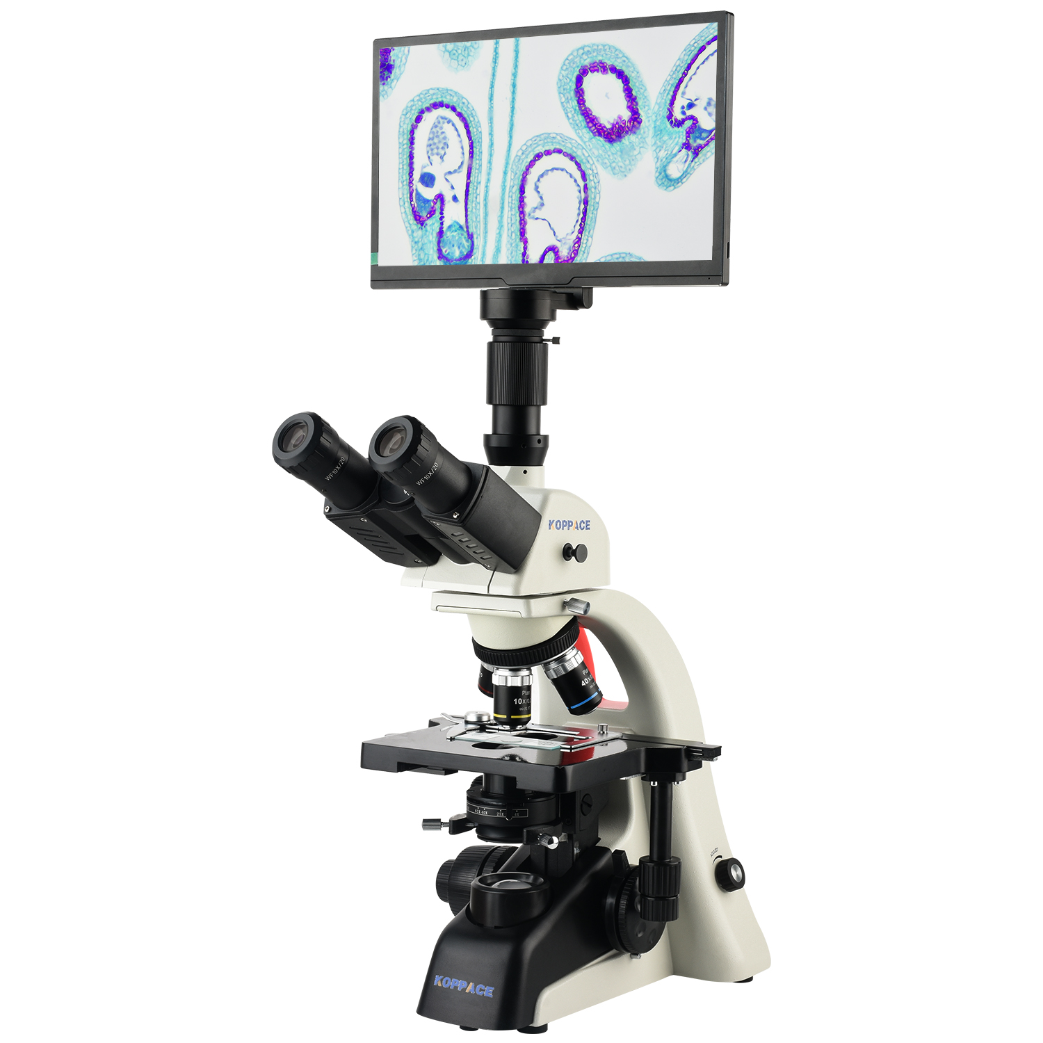 KOPPACE 40X-1600X Electron Com - Microscope Compound 40X reseña y precio