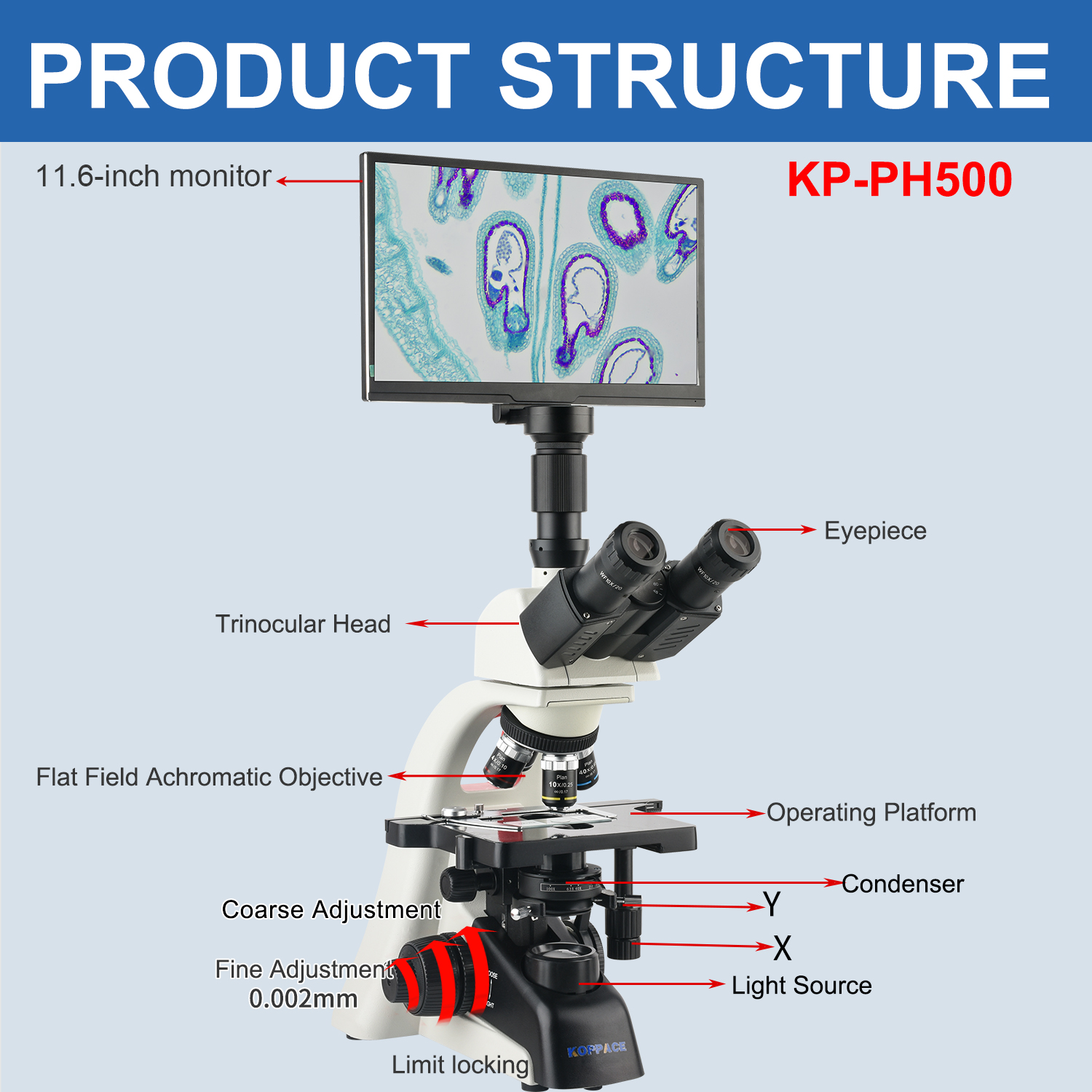 KOPPACE 40X-1600X Electron Com - Microscope Compound 40X reseña y precio
