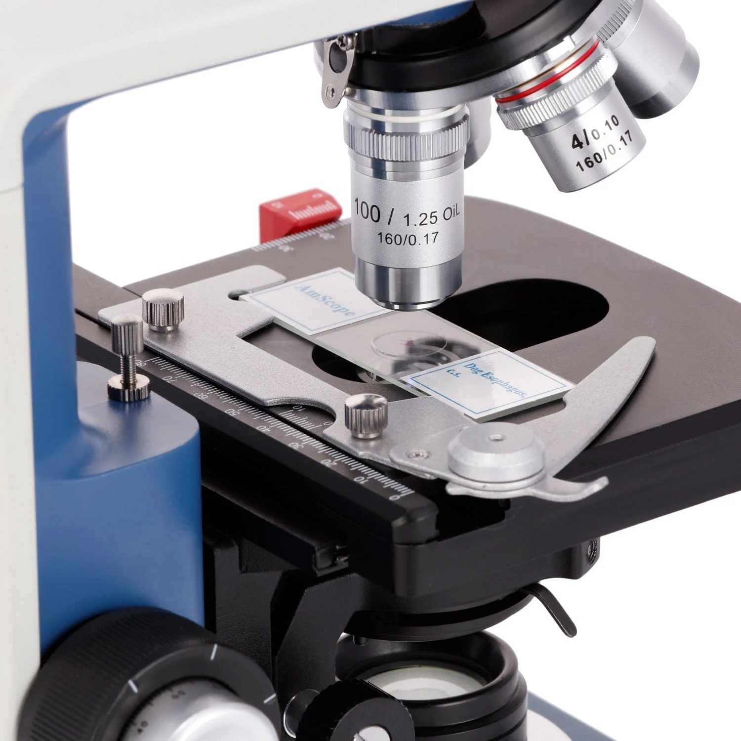 AmScope 40X-2500X USB-C Rechar - Microscope Compound 40X reseña y precio