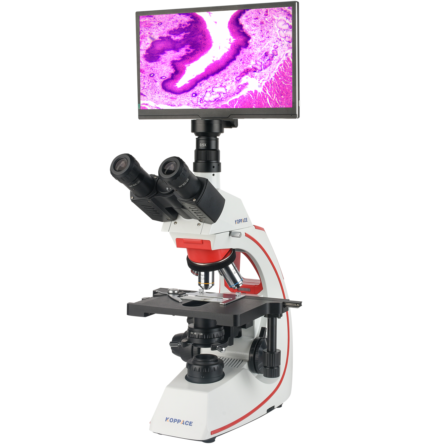 KOPPACE 40X-1600X Compound Lab - Microscope Compound 40X reseña y precio