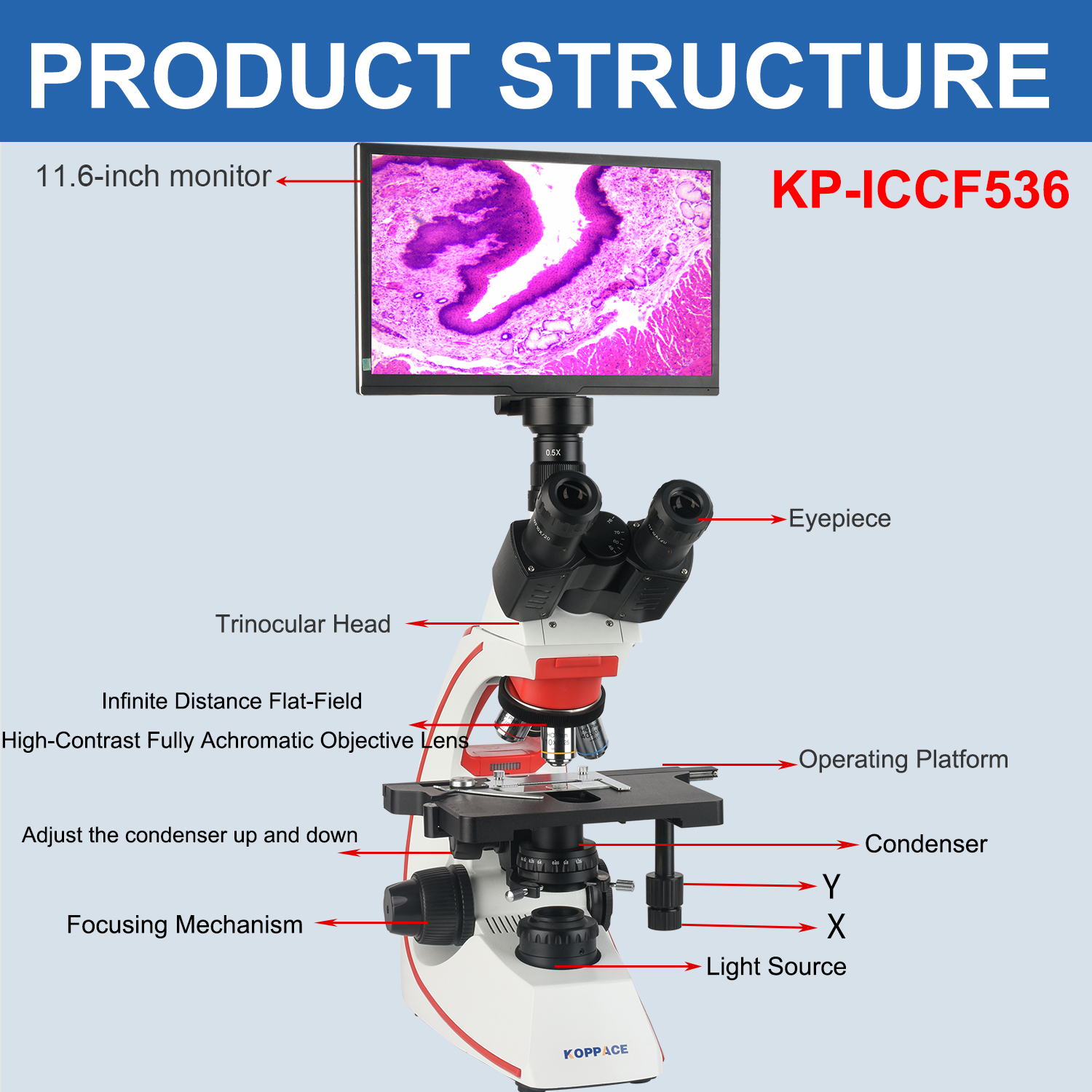 KOPPACE 40X-1600X Compound Lab - Microscope Compound 40X reseña y precio