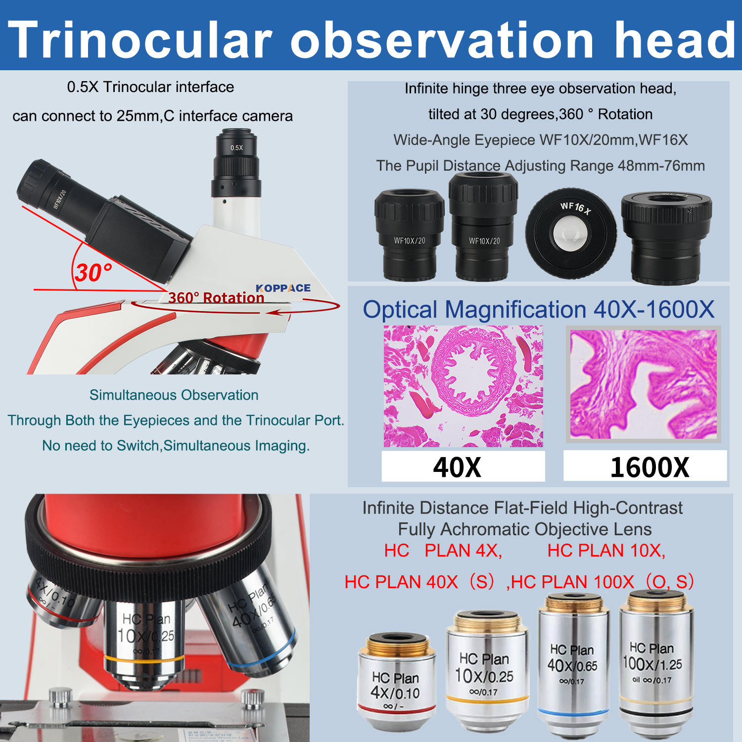 KOPPACE 40X-1600X Compound Lab - Microscope Compound 40X reseña y precio