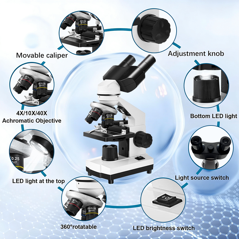 Binocular Compound Microscope  - Microscope Compound 40X reseña y precio