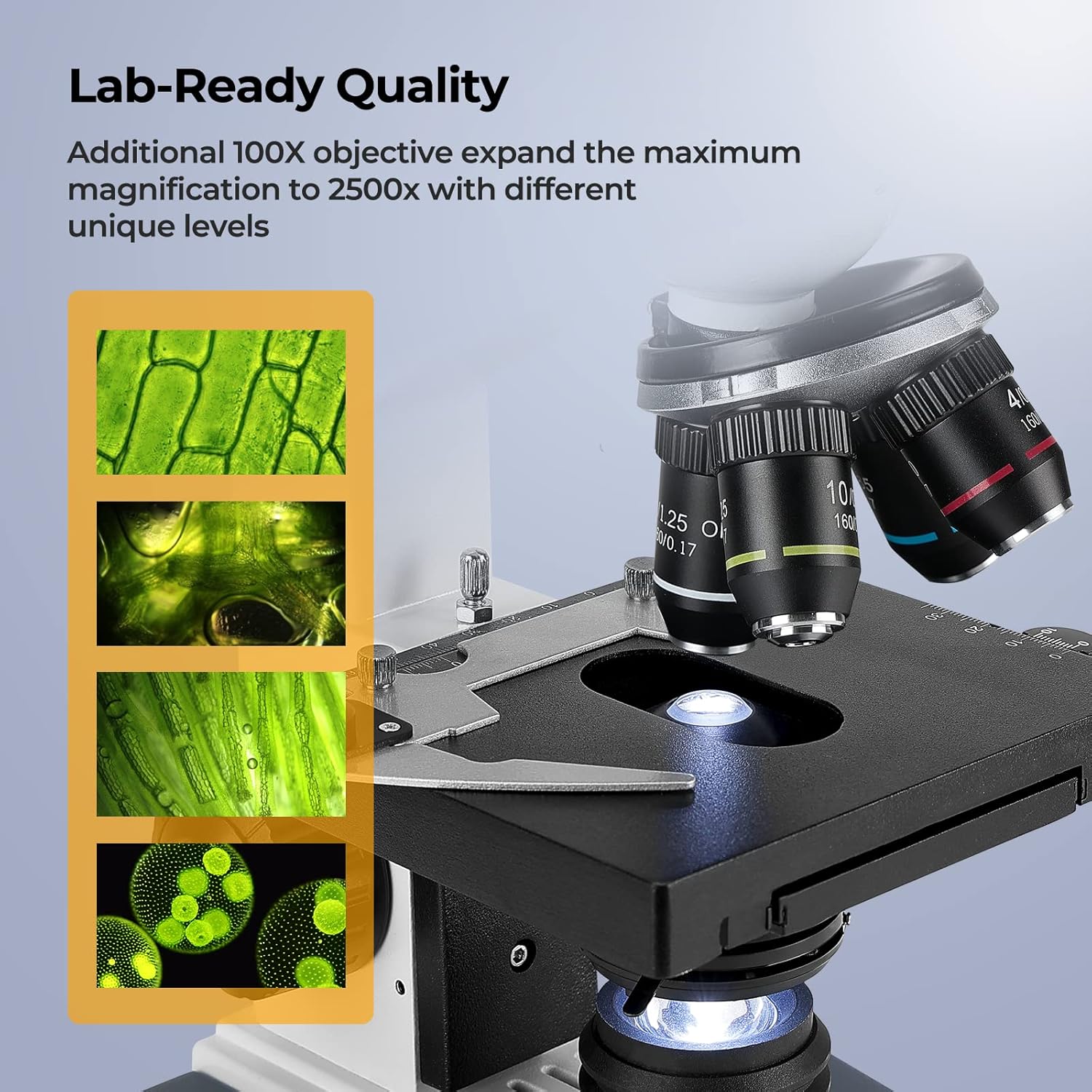 40X-2500X Trinocular Compound  - Microscope Compound 40X reseña y precio